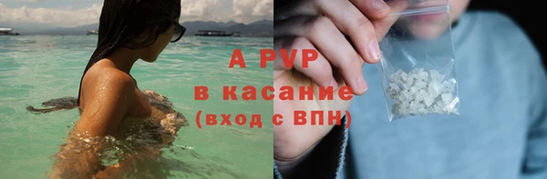 хмурый Бородино