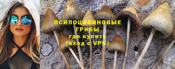 прущий лед Волосово