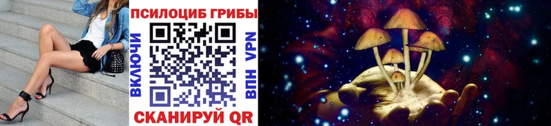 OMG ссылка  Набережные Челны  Псилоцибиновые грибы прущие грибы 