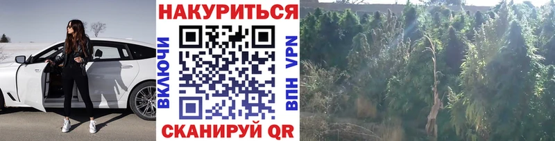 Бошки марихуана MAZAR  Набережные Челны 